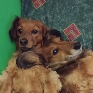 Meet your Posher, Coreen